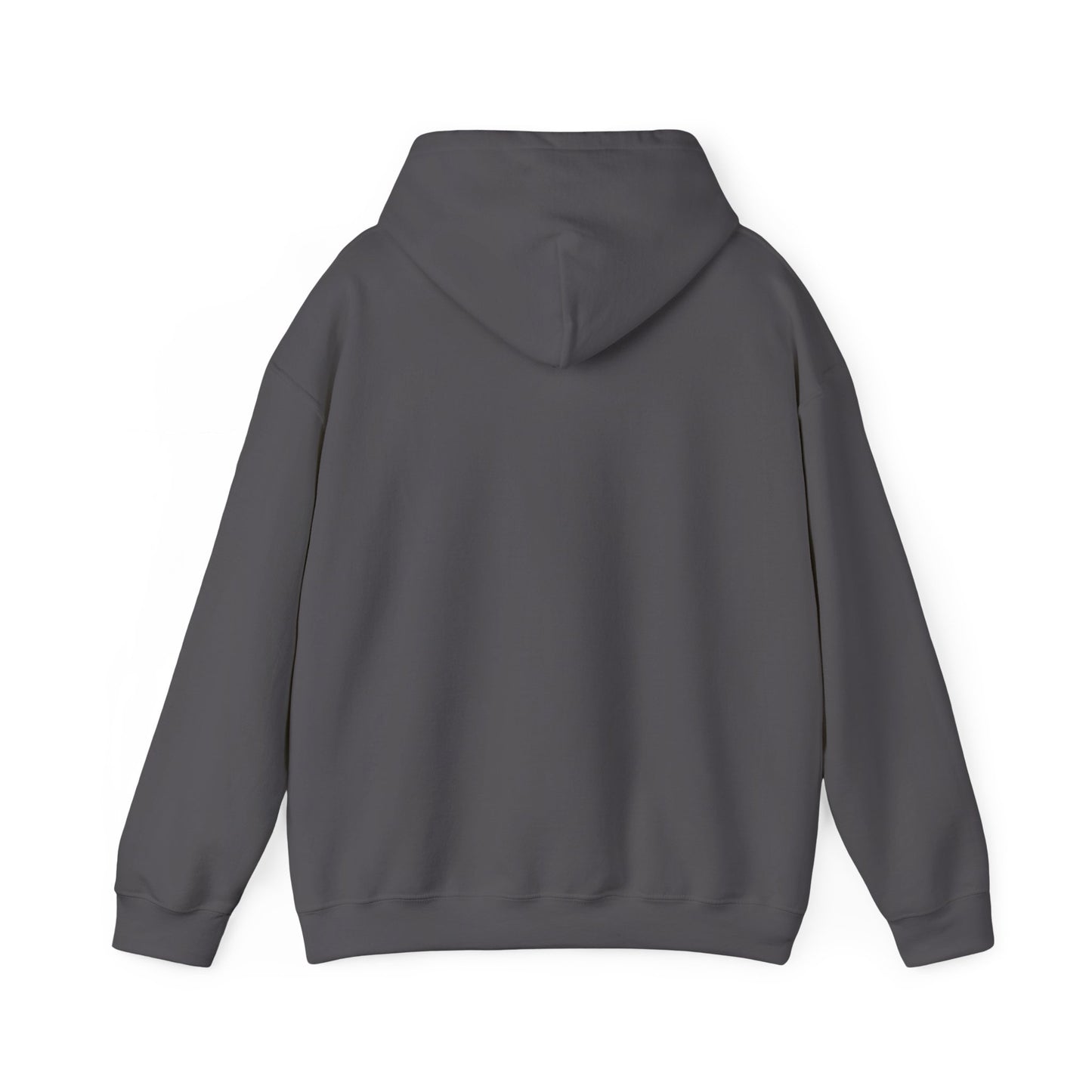 ARID Hooded Sweatshirt