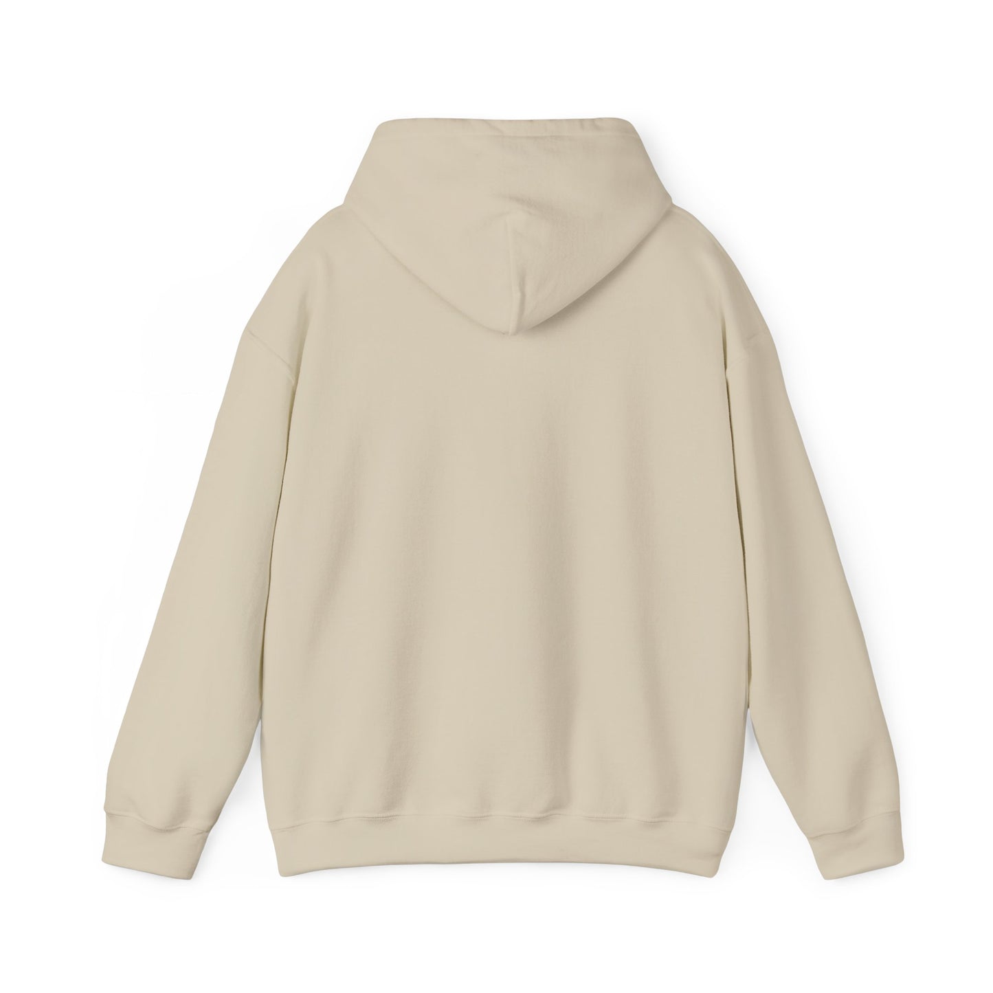 ARID Hooded Sweatshirt